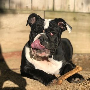 Meet your Posher, Robin